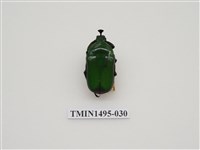 藏品(臺灣扇角金龜)的圖片